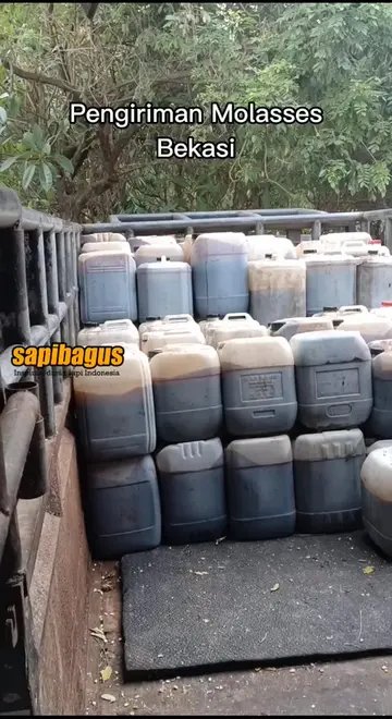Pemanfaatan-Molases-Untuk-Tambak-Udang
